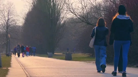 Early spring walk in the park Video stock 151294648