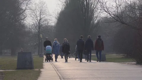 Early spring walk in the park Stock Footage 151294686