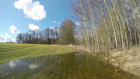 Early spring water puddle on crop field near forest and clouds, time lapse 4K Stock Footage 73968777