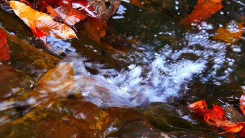 Early spring water stream sound in Deep Mountain Stock Footage 162648774