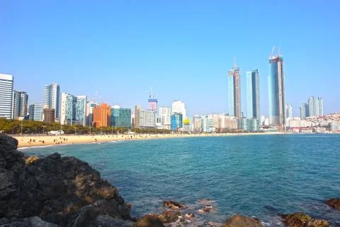 Early spring when plum blooms, Haeundae Beach, Haeundae, Busan, South Korea,  Stock Photos