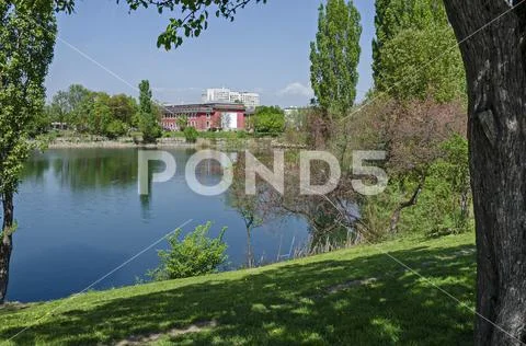 Early springtime green, dry reed or rush and house on a beauty lake Stock Photos