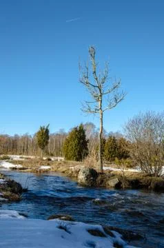 Early springtime landscape Stock Photos