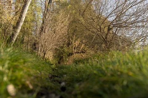 Early springtime Stock Photos