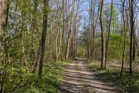 Early springtime Stock Photos