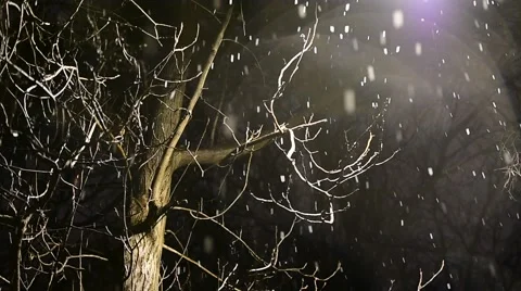 Early springtime snowfall and a blooming tree 스톡 동영상 63454861