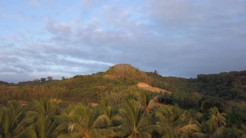 Early Stage Of Construction On Empty Plot In Tropical Location Surrounded Vídeos de archivo 98453380