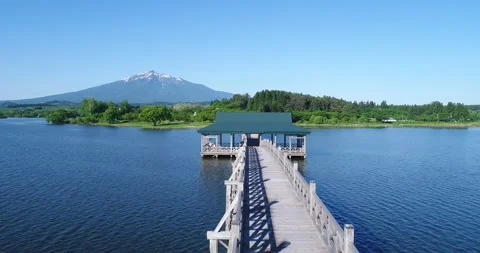 Early Summer's Crane Dance Bridge Vidéo 332802353