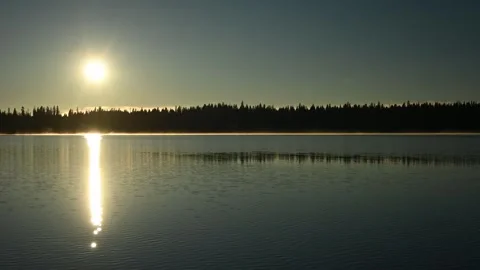 The early sun and a clear sky reflect in a calm northern lake  Stock Footage 280874702