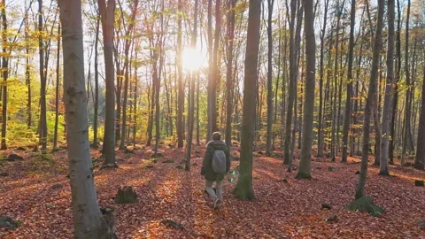 The early sun's rays illuminate the path of a man in green, delving into th.. Stock Footage 256213143