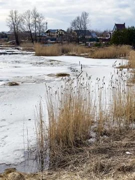 Early Thaw by River Stock Photos