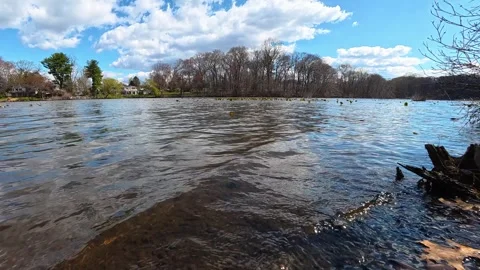 An Early, Warm Spring in New Jersey (MarApr 2026) Stock Footage 332445429