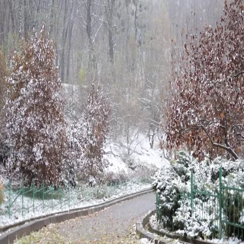 Early winter in park, snow in botanic garden Stock Footage 69518563