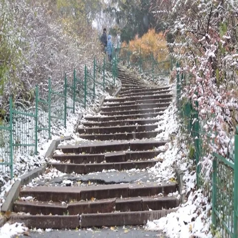 Early winter in park, snow in botanic garden Stock Footage 69518652