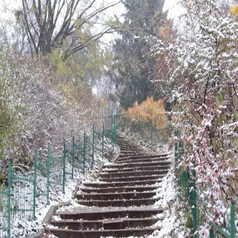 Early winter in park, snow in botanic garden Stock Footage 69518889