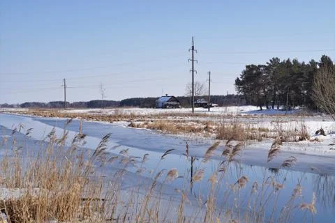 Early winter. Stock Photos