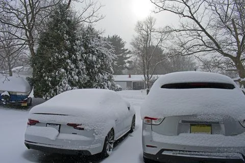 Early Winter Snowfall -04 Stock Photos