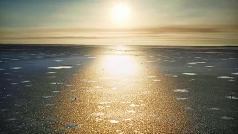 Early Winter Whispers, Thin Ice Forming Amidst Pine Sentinels on Forest Stream Stock Footage 257775544