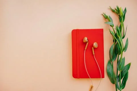 Earphones with notebook Stock Photos