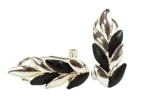Earrings isolated on a white background Stock Photos