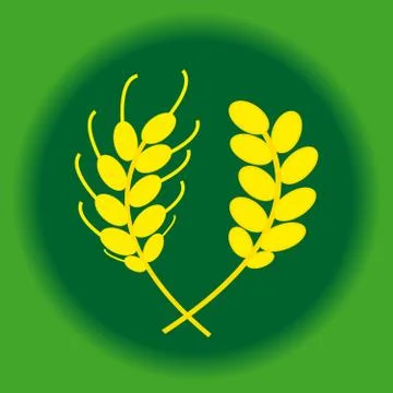 Ears of barley and wheat  in ring on green background Stock Illustration