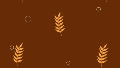 Ears barley spikes pattern animation Stock Footage 201903683