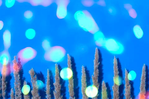 Ears on blue background with copy space for your text. Stock Photos