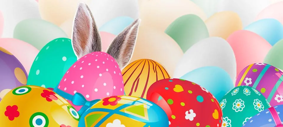 Ears Bunny Appear In easter eggs - Easter Card. Stock Photos