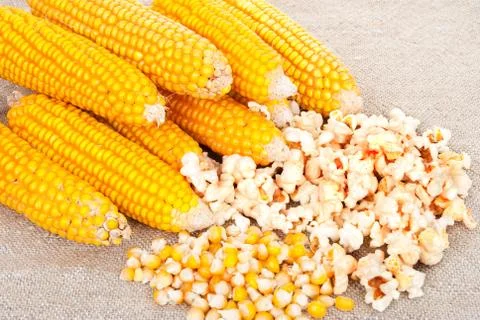 Ears of corn and popcorn Stock Photos