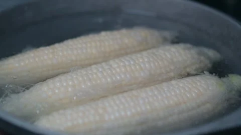 Ears of corn in boiling water Stock Footage 289494952