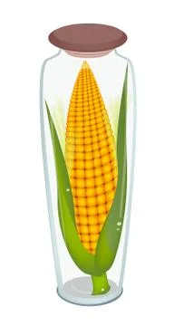 A Ears of Corn in Glass Bottle Stockillustratie