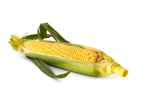 Ears of corn grains Stock Photos