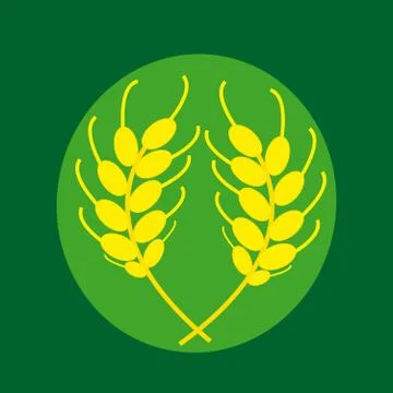 Ears of corn on a green background Stock Illustration