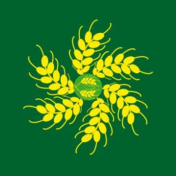 Ears of corn on a green background Stock Illustration