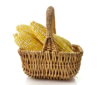 Ears of corn Stock Photos