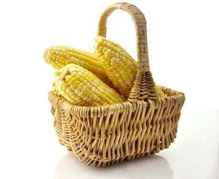 Ears of corn Stock Photos