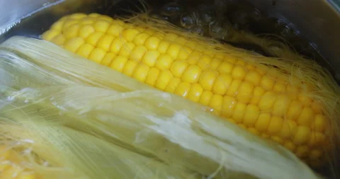Ears of freshly cooked corn close-up 스톡 동영상 156070617