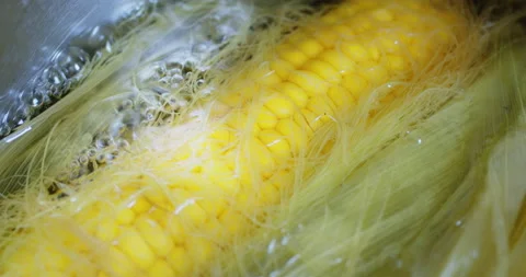 Ears of freshly cooked corn close-up Stock Footage 156070706