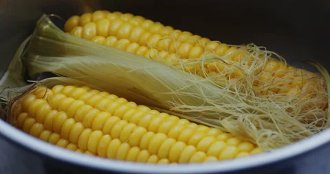 Ears of freshly cooked corn close-up 스톡 동영상 156070844