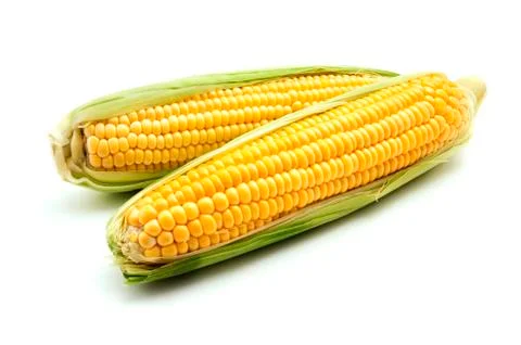 Ears of maize Stock Photos
