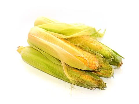 Ears of ripe corn Stock Photos