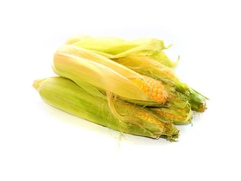 Ears of ripe corn Stock Photos