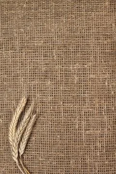 Ears of rye on the sacking background Stock Photos