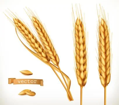 Ears of wheat. 3d vector icon set Stock Illustration