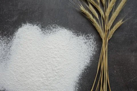 Ears of wheat and flour on a gray background. Top view, grain. Stock Photos