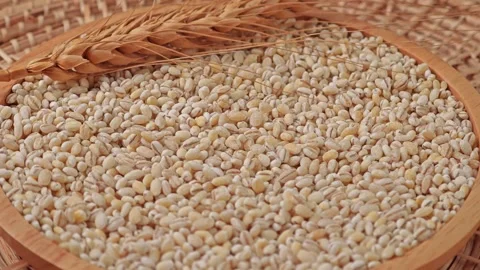 Ears of wheat and spikelets. Video stock 306003759