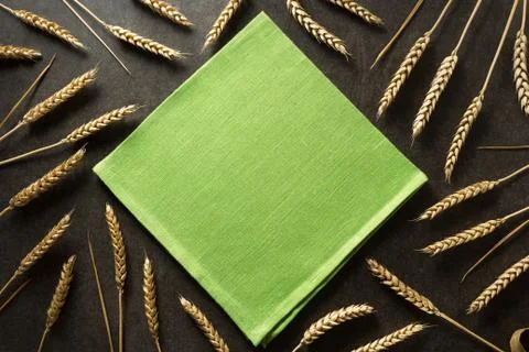 Ears of wheat on background Stock Photos