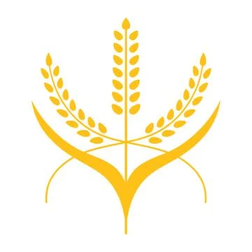 Ears of Wheat, Barley or Rye vector visual graphic icon Stock Illustration