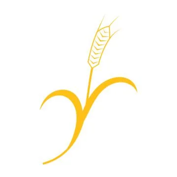 Ears of Wheat, Barley or Rye vector visual graphic icon Stock Illustration