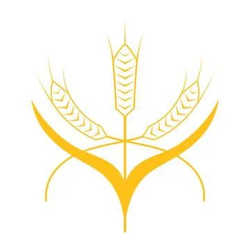 Ears of Wheat, Barley or Rye vector visual graphic icon Stock Illustration